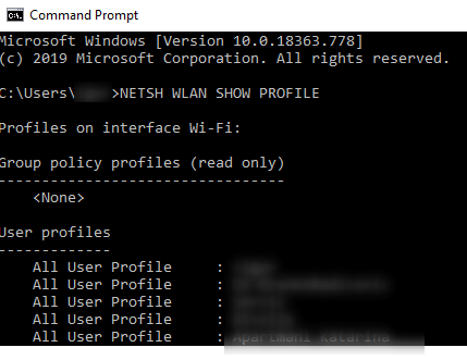 NETSH WLAN SHOW PROFILE in Command Prompt