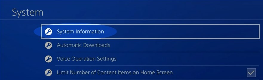 PS4 system information