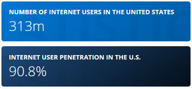 there’re 313 million internet users in the US