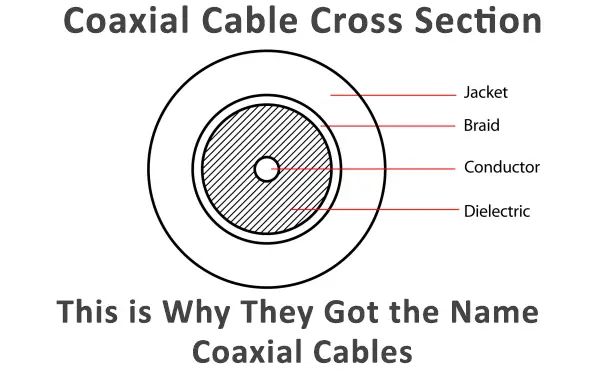 Coaxial Cable Cross Section