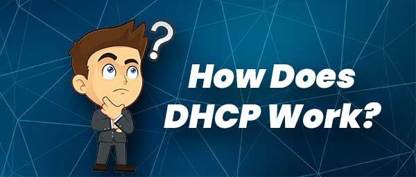 How Does DHCP Work?