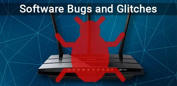 Software Bugs and Glitches