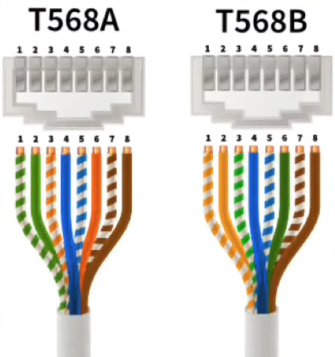 T568A vs T568B