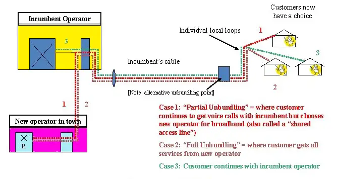 Types of Local Loop Unbundling