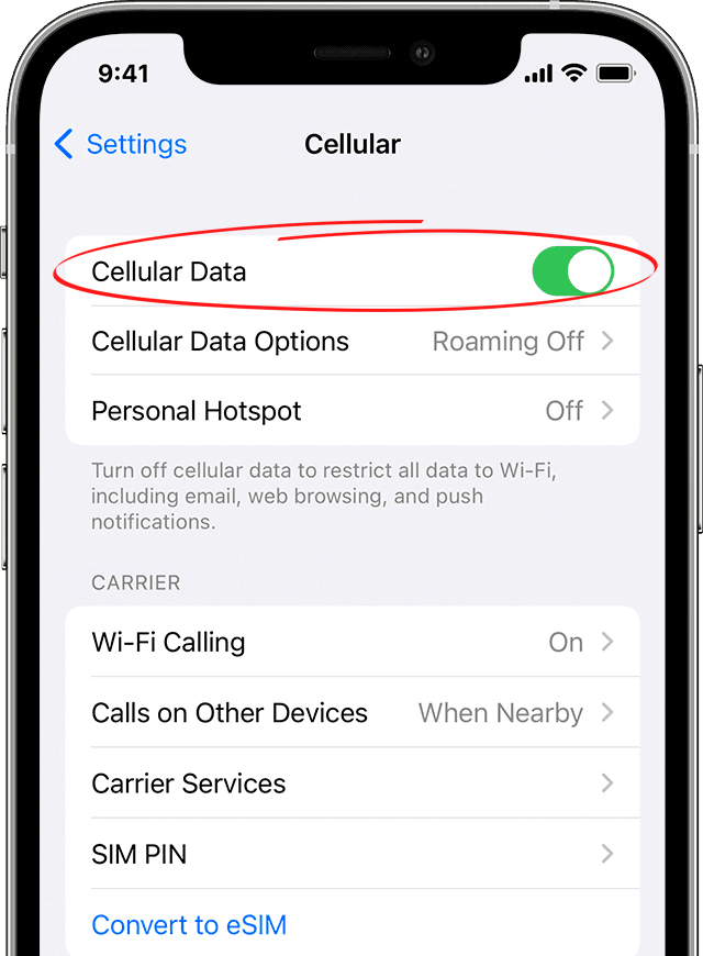 Cellular Data