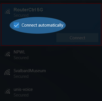 Connect automatically checkbox