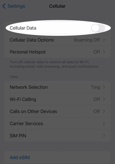 Cellular data